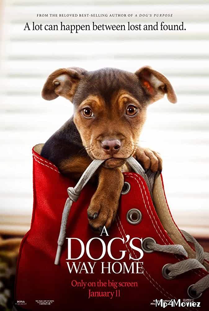 A Dogs Way Home (2019) Hindi Dubbed BluRay 720p 480p Movie