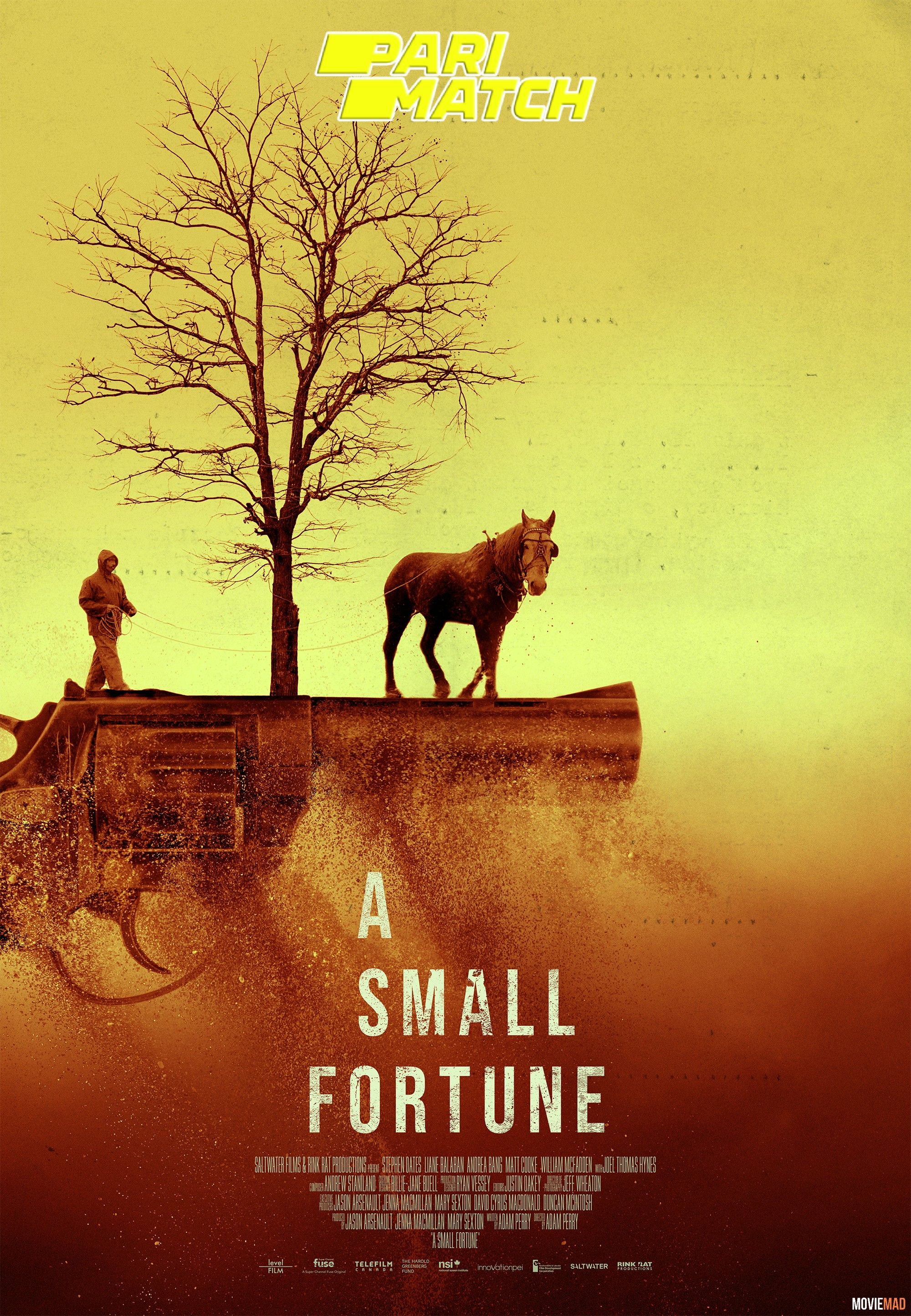 A Small Fortune 2021 Hindi (Voice Over) Dubbed WEBRip Full Movie 720p 480p