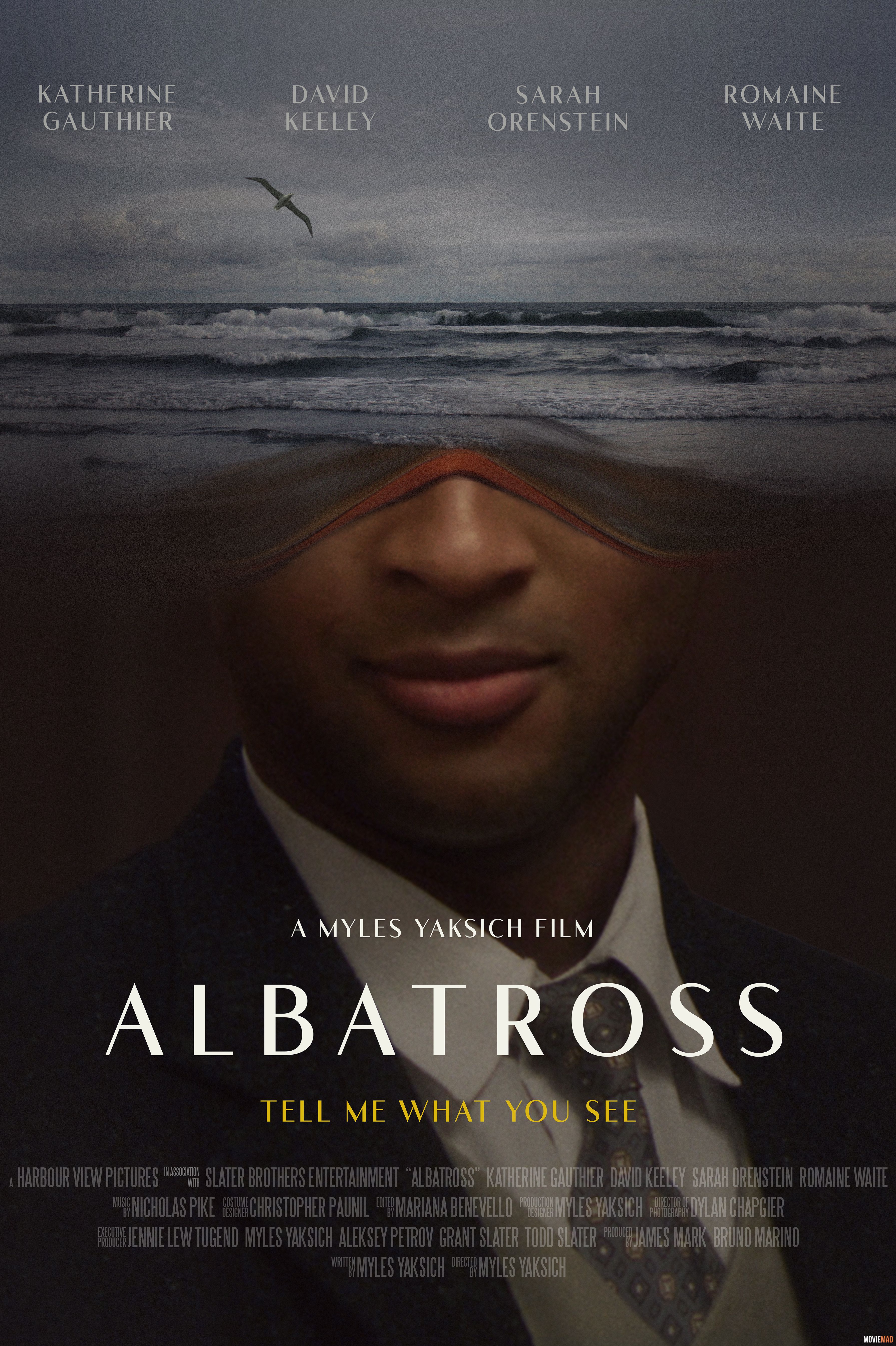 Albatross 2022 Hindi (Voice Over) Dubbed WEBRip Full Movie 720p 480p Movie