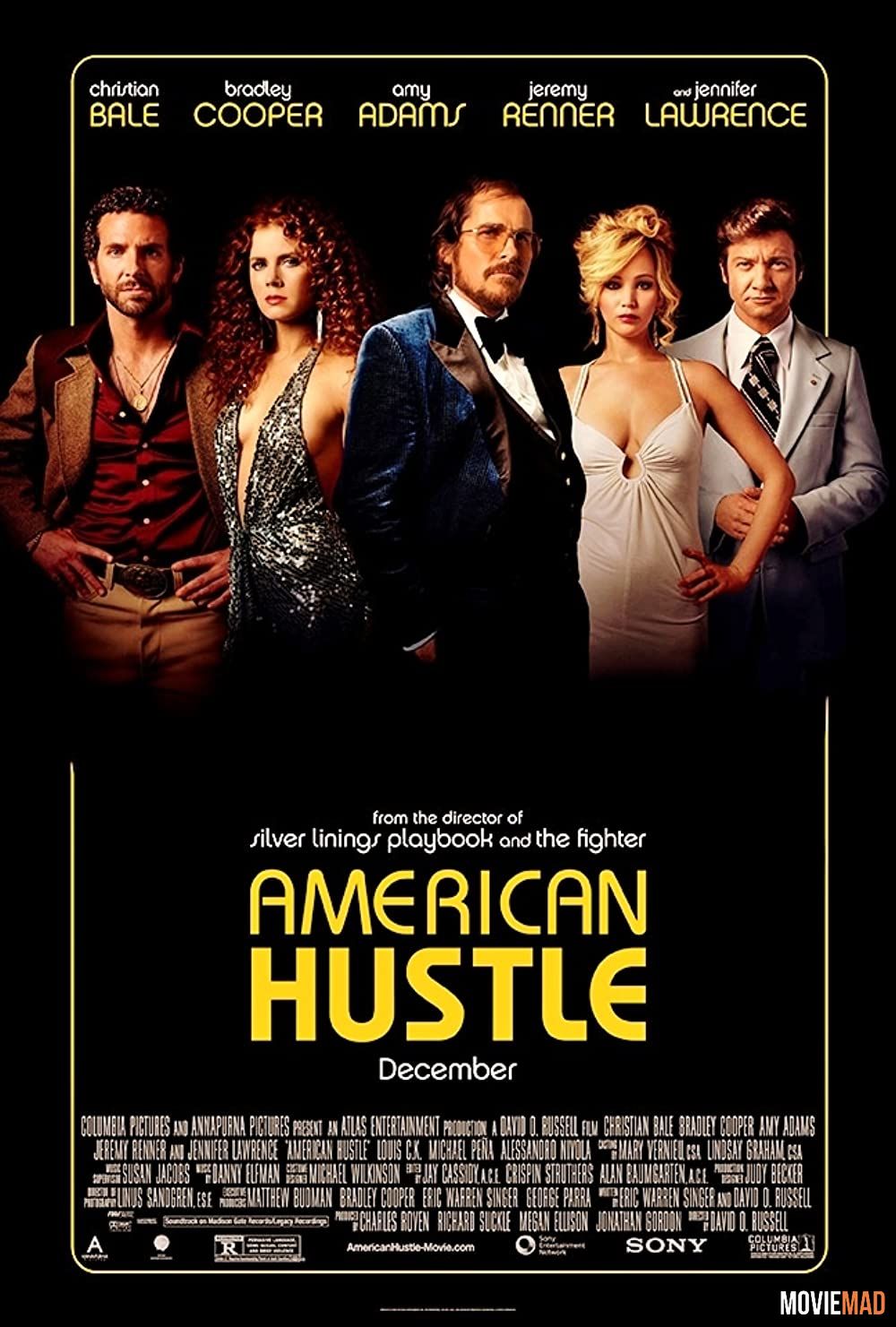 American Hustle 2013 Hindi Dubbed BluRay Full Movie 720p 480p Movie