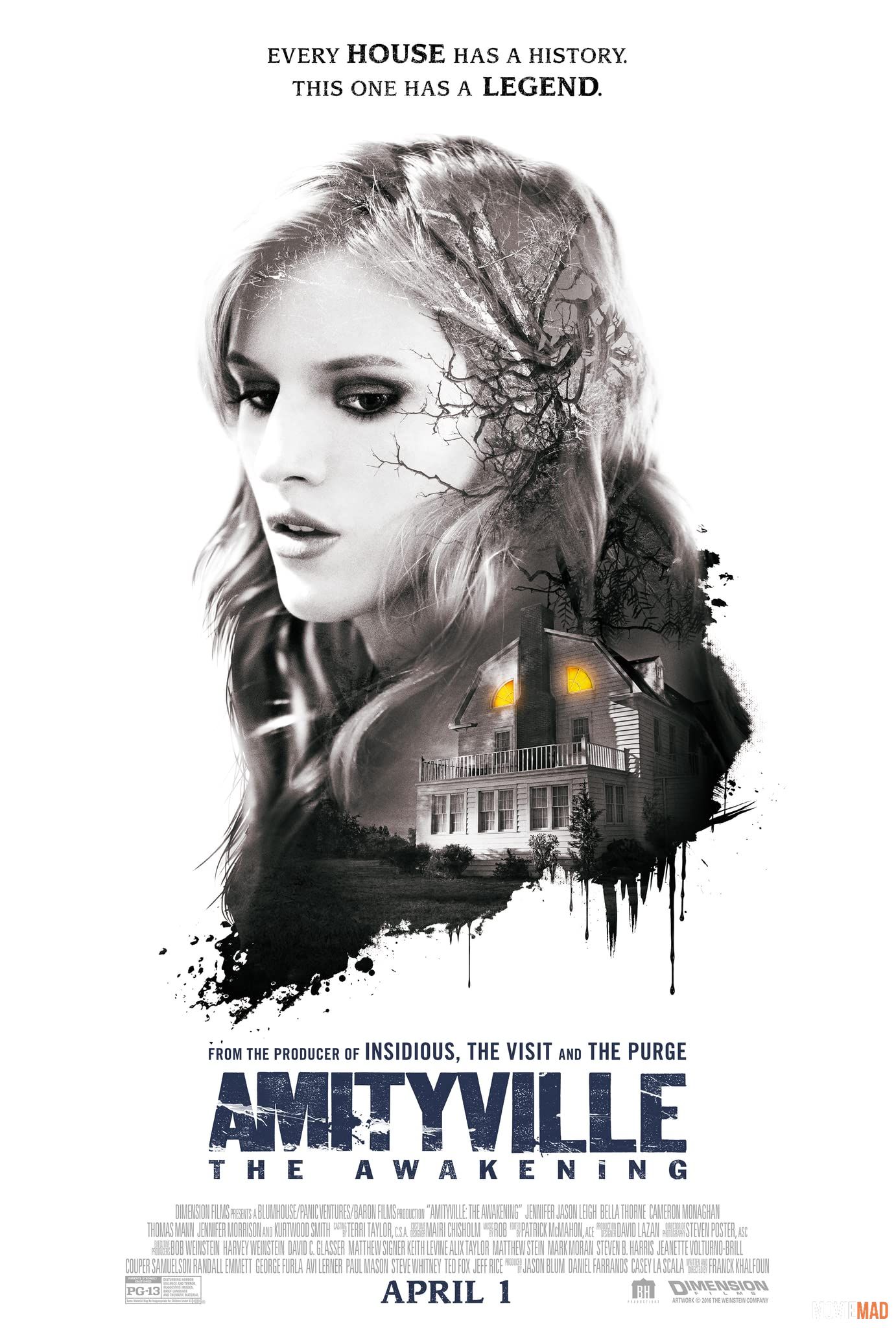 Amityville: The Awakening 2017 Hindi Dubbed ORG 720 480p BluRay Movie