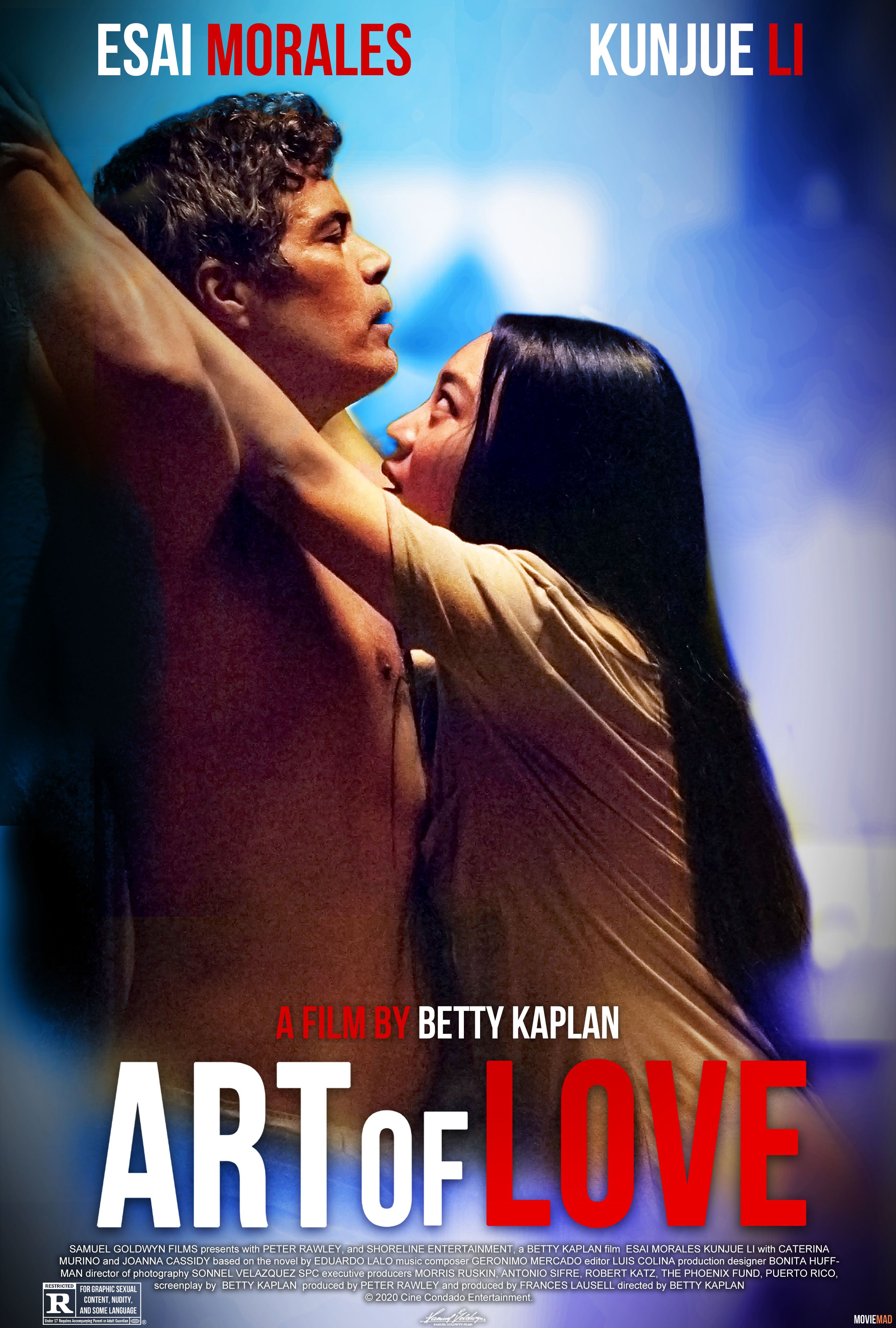 Art of Love (2021) Hindi (Voice Over) Dubbed WEBRip Full Movie 720p 480p