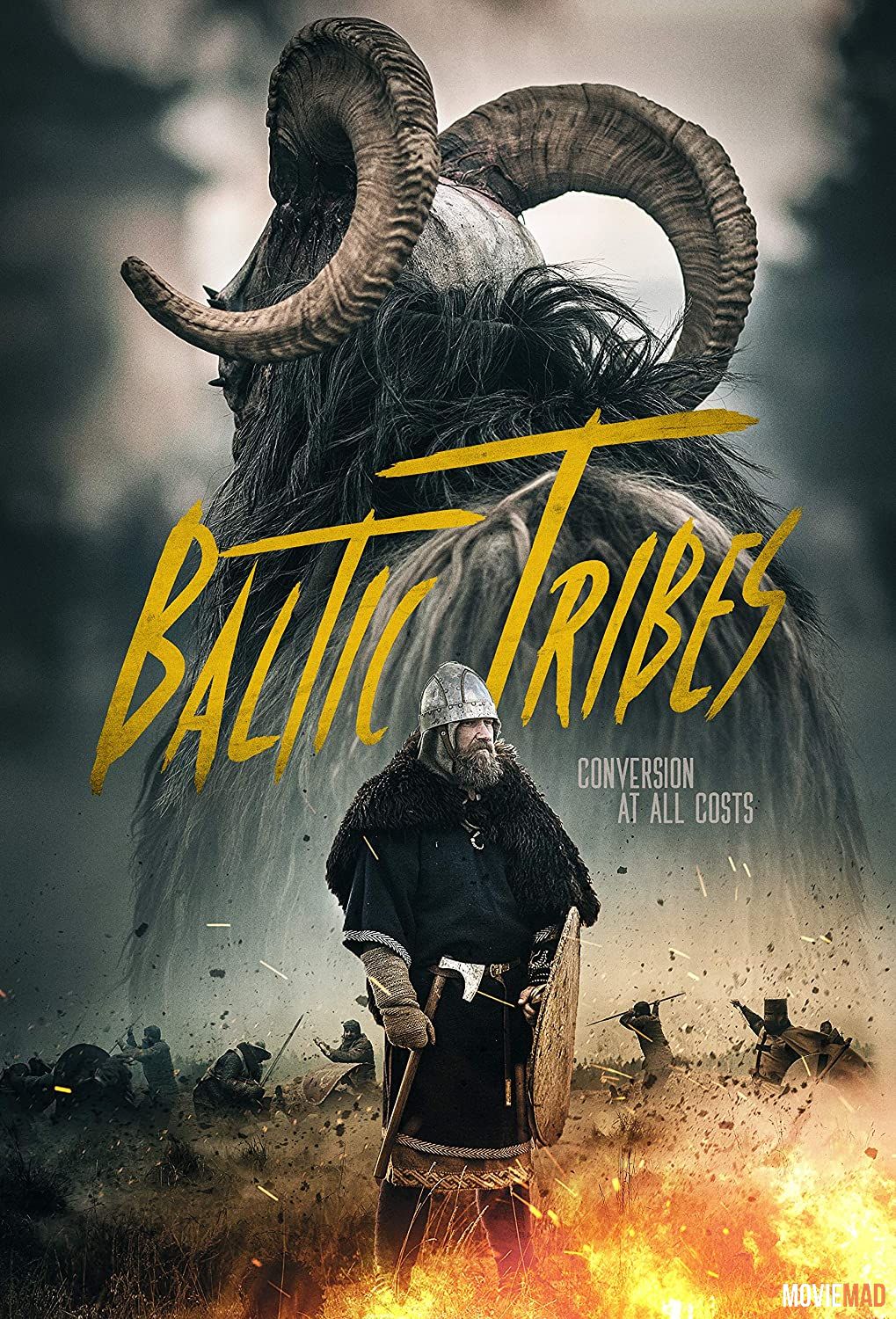 Baltic Tribes 2018 Hindi Dubbed ORG HDRip Full Movie 720p 480p Movie