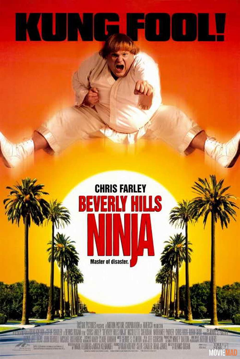 Beverly Hills Ninja (1997) Hindi Dubbed ORG HDRip Full Movie 720p 480p Movie