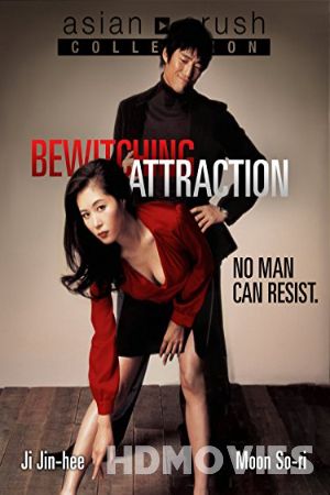 Bewitching Attraction (2006) English