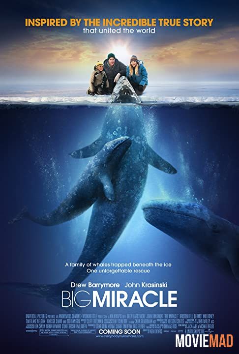 Big Miracle (2012) Hindi Dubbed ORG BluRay Full Movie 720p 480p Movie