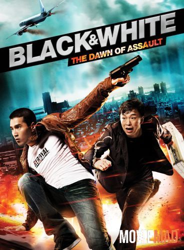 Black & White The Dawn of Assault 2012 Hindi Dubbed BluRay Full Movie 720p 480p Movie