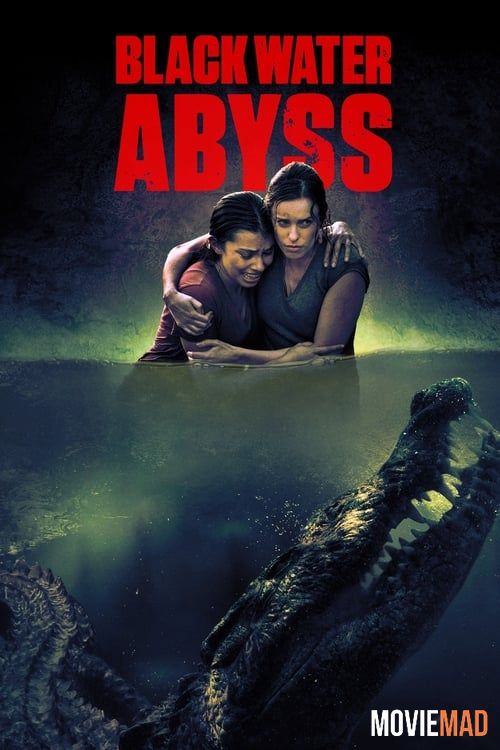 Black Water Abyss 2020 Hindi Dubbed ORG BluRay AMZN Full Movie 1080p 720p 480p Movie