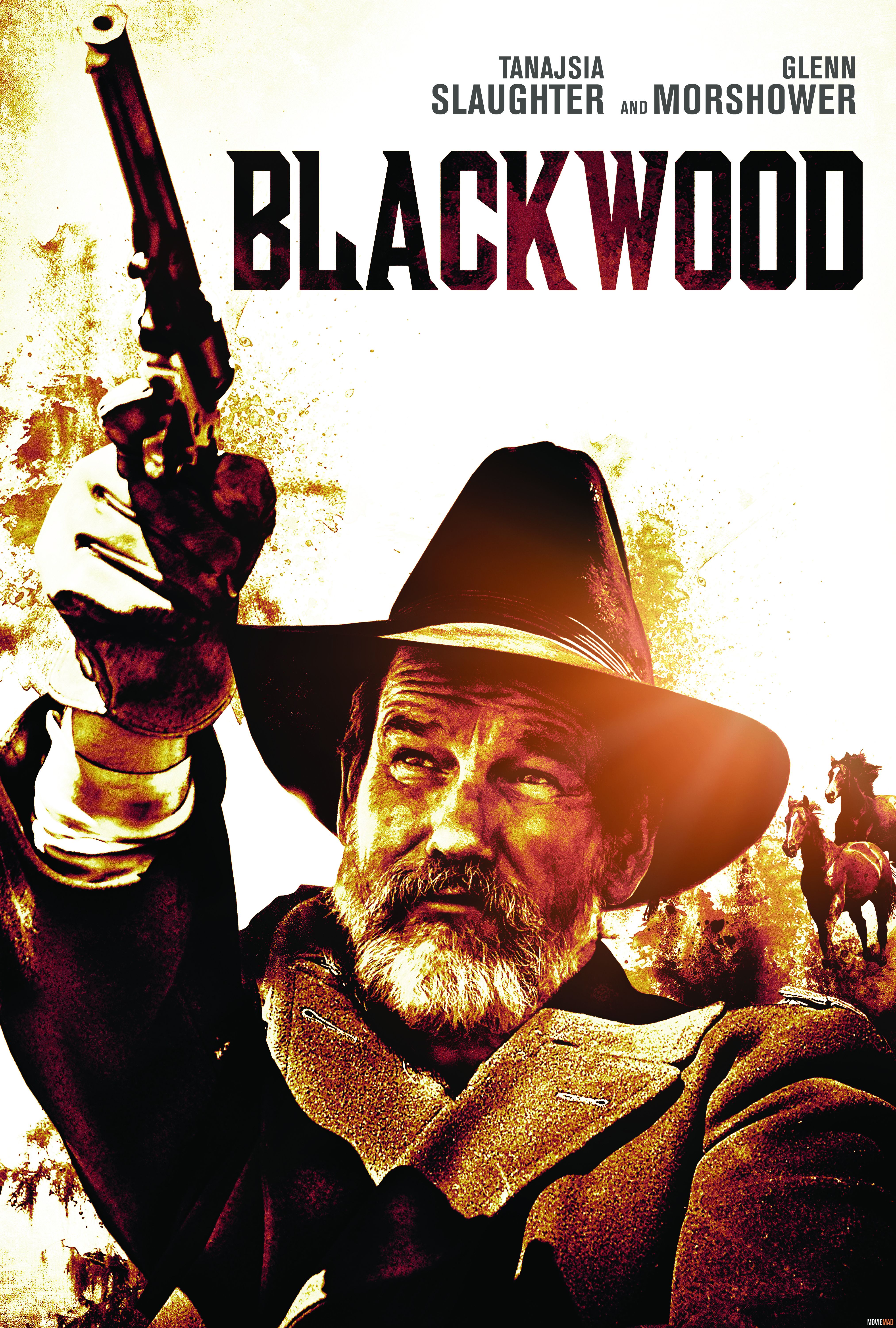 Black Wood 2022 Hindi (Voice Over) Dubbed WEBRip Full Movie 720p 480p Movie