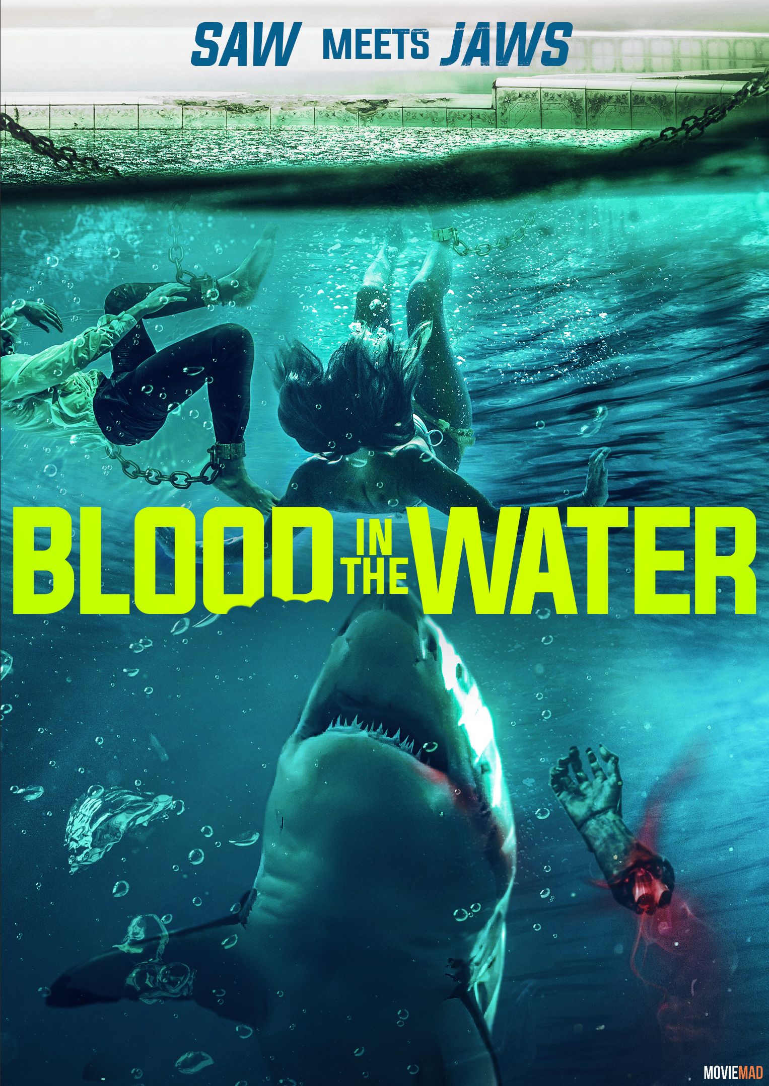 Blood in the Water 2022 Hindi (Voice Over) Dubbed WEBRip Full Movie 720p 480p Movie