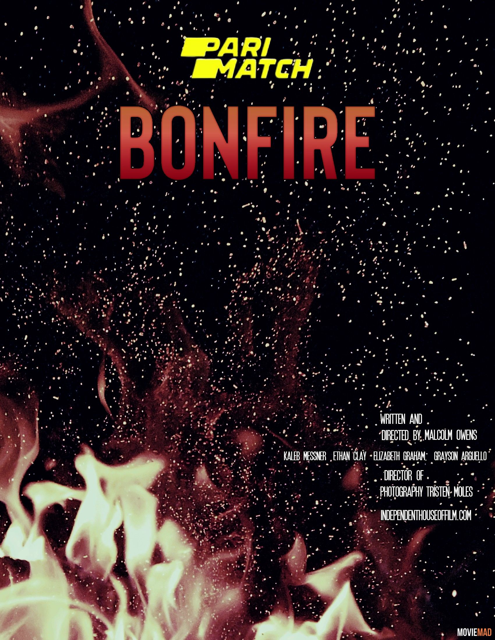 Bonfire 2021 Hindi (Voice Over) Dubbed WEBRip Full Movie 720p 480p Movie