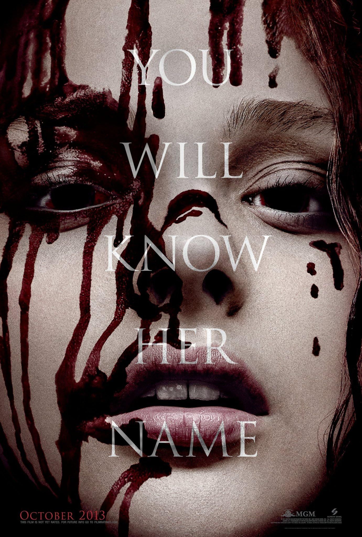 Carrie (2013) Hindi Dubbed ORG BluRay Full Movie 720p 480p Movie