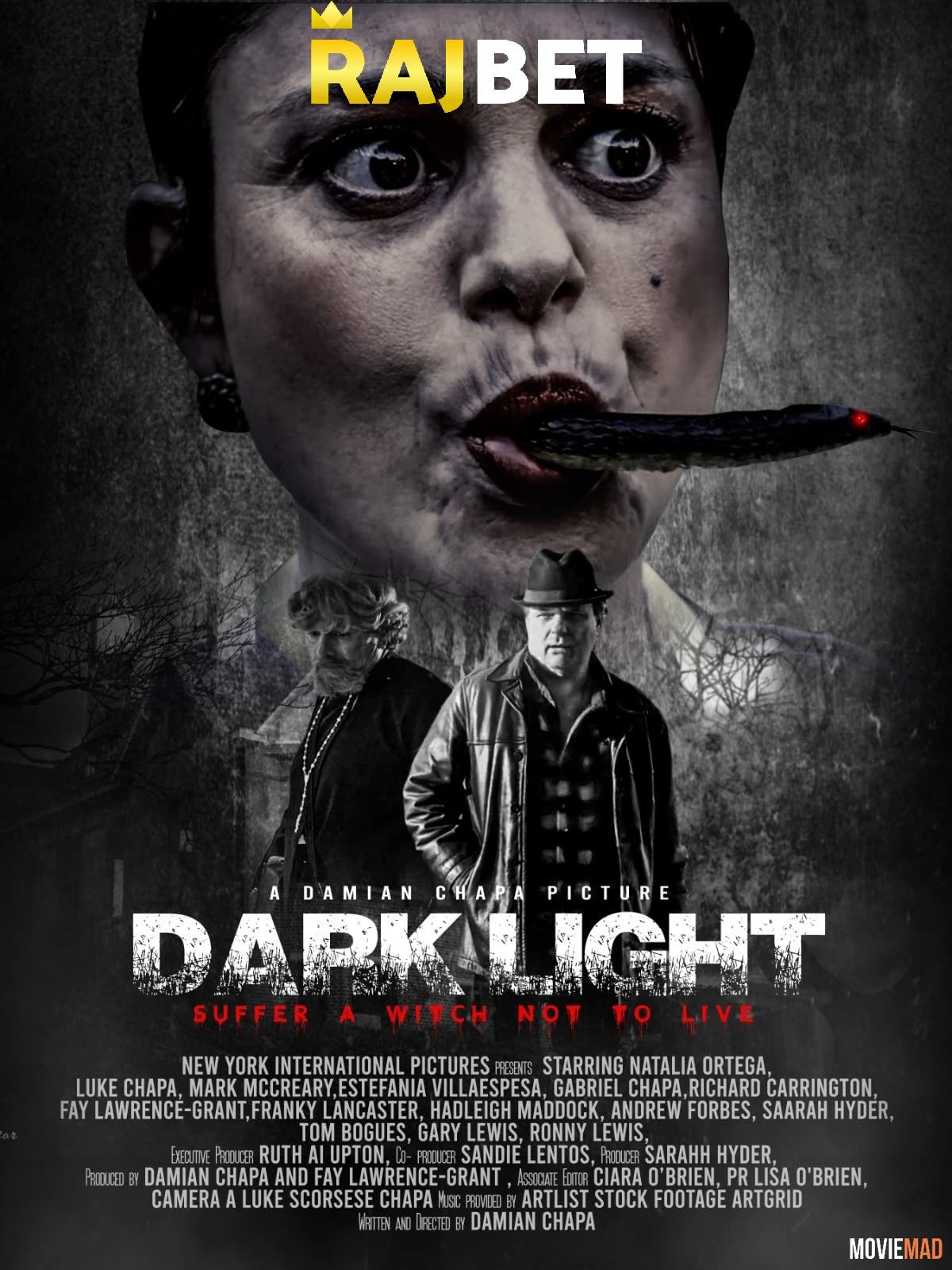 Dark Light 2021 Hindi (Voice Over) Dubbed WEBRip Full Movie 720p 480p Movie