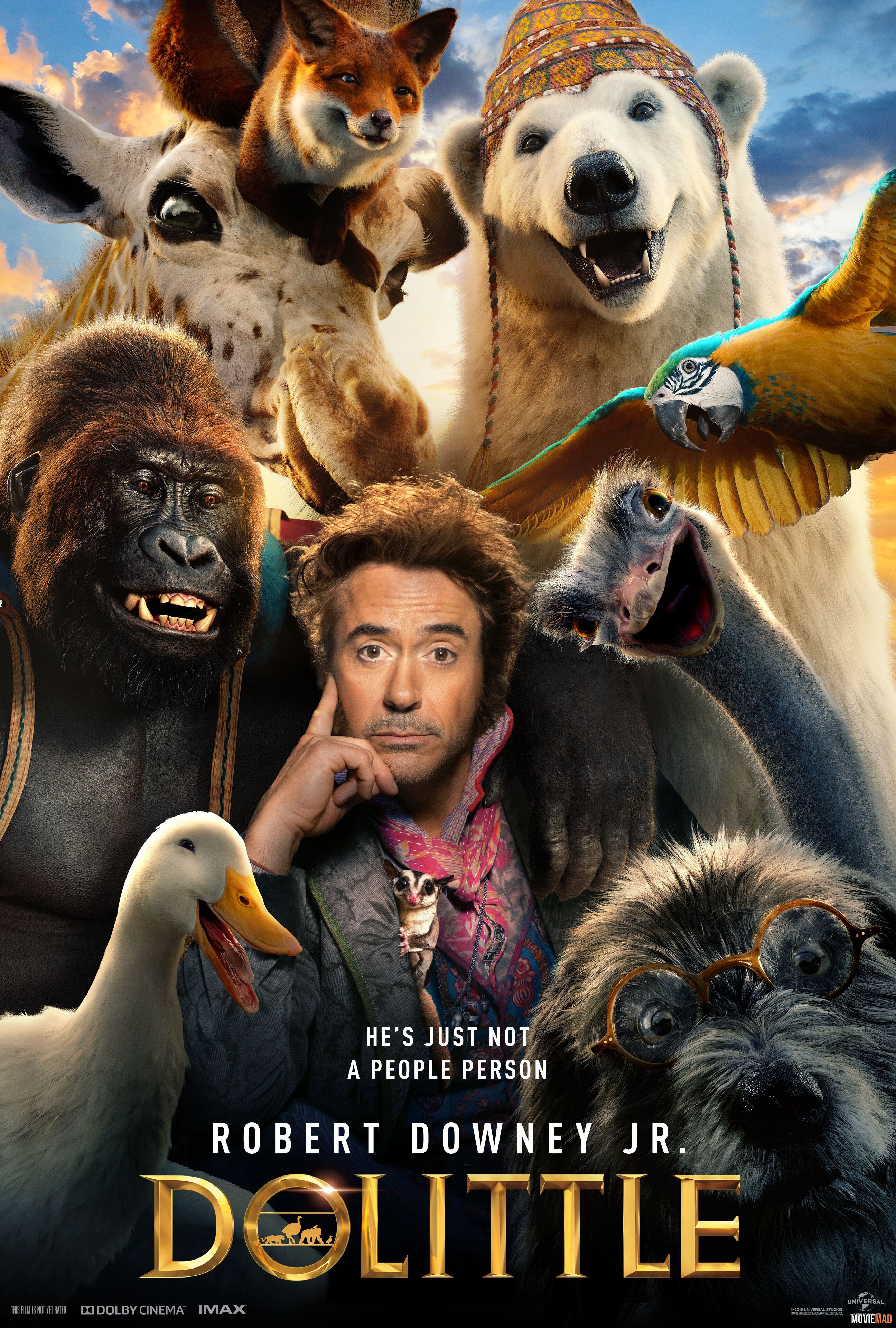 Dolittle 2020 BluRay Dual Audio Hindi DD5.1 720p 480p x265 Movie