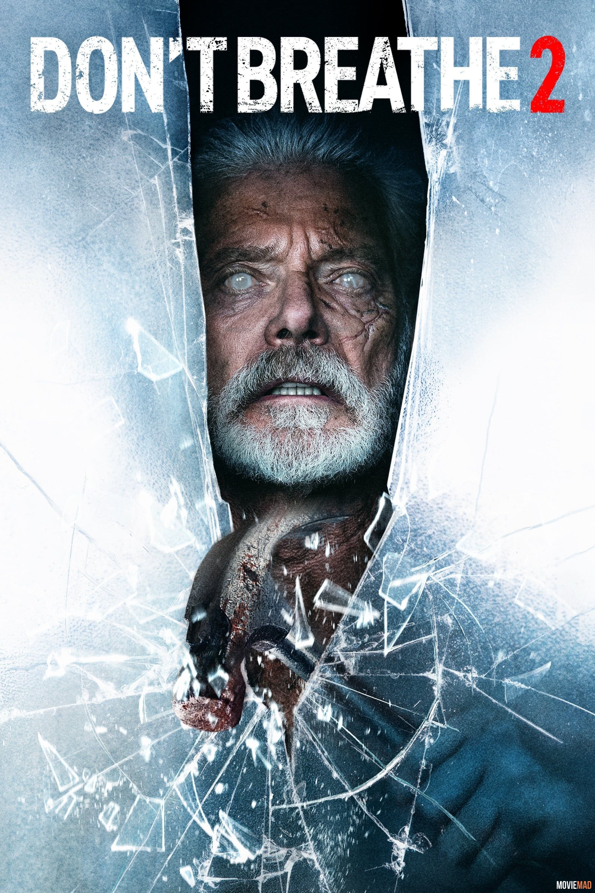 Dont Breathe 2 2021 BluRay Dual Audio Hindi ORG 720p 480p Movie