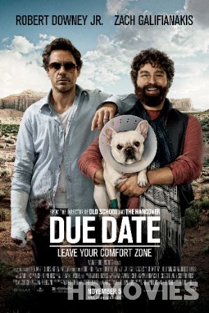 Due Date (2010) Hindi Dubbed