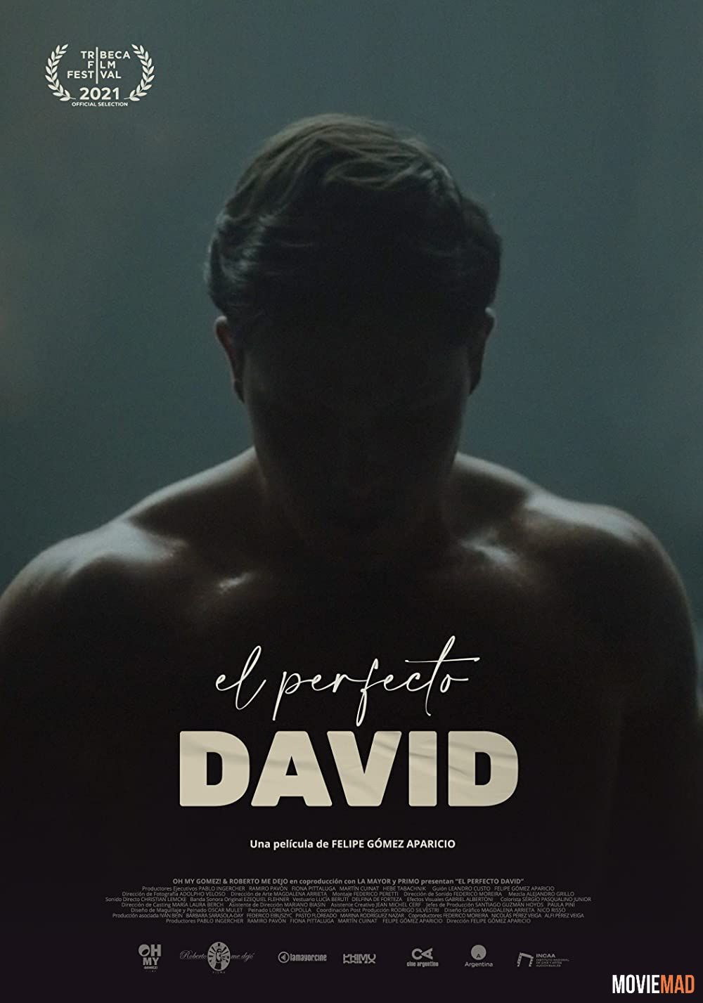 El perfecto David 2021 Hindi (Voice Over) Dubbed WEBRip Full Movie 720p 480p Movie