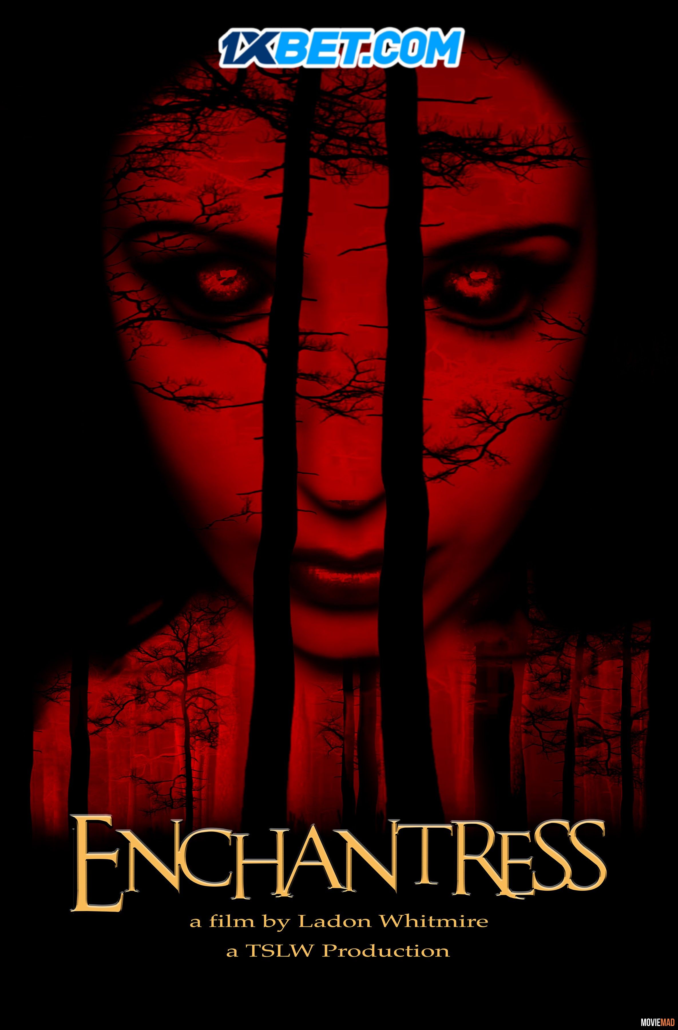 Enchantress 2022 Hindi (Voice Over) Dubbed WEBRip Full Movie 720p 480p Movie