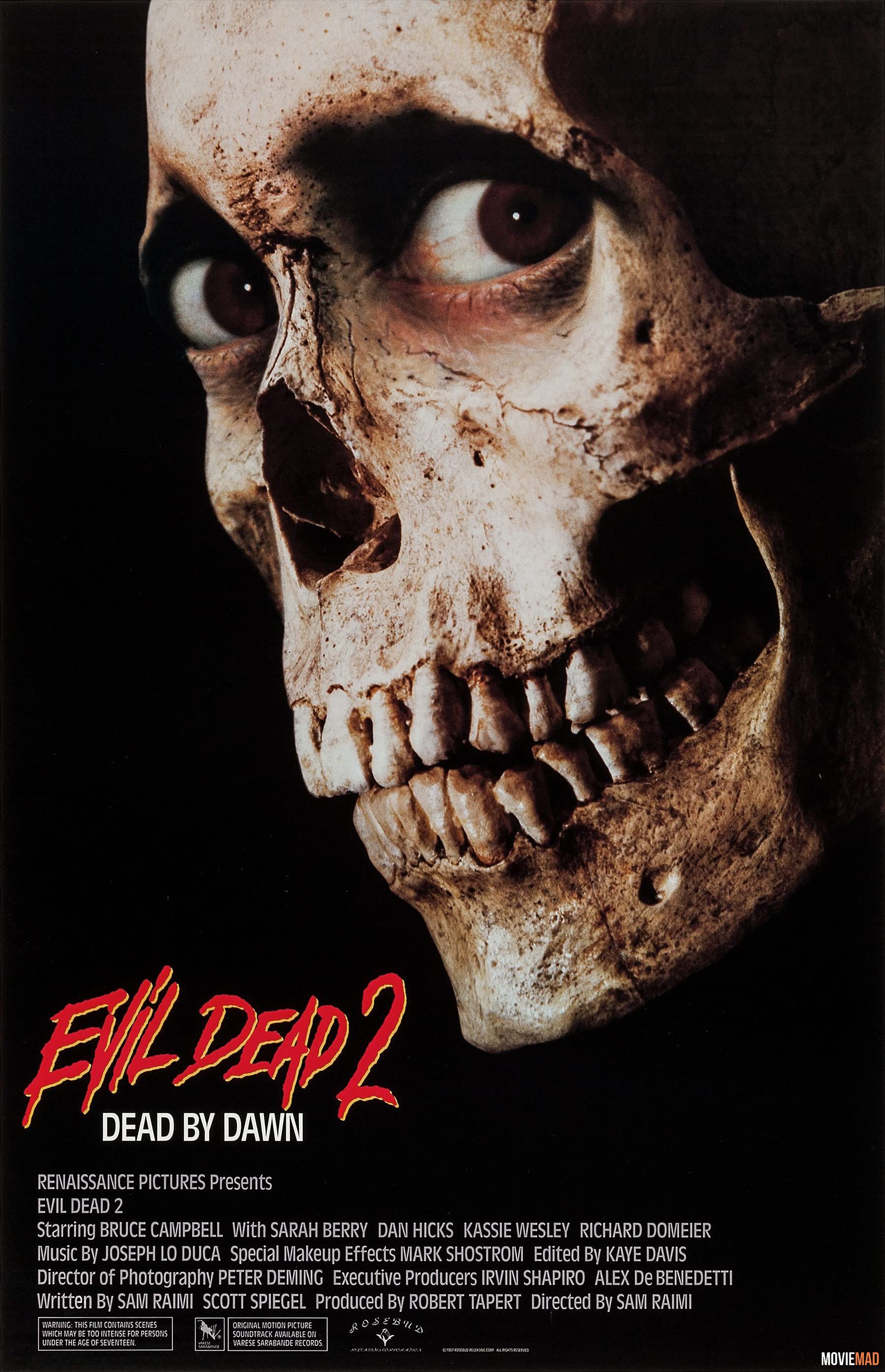 Evil Dead II (1987) Hindi Dubbed ORG HDRip Full Movie 720p 480p Movie