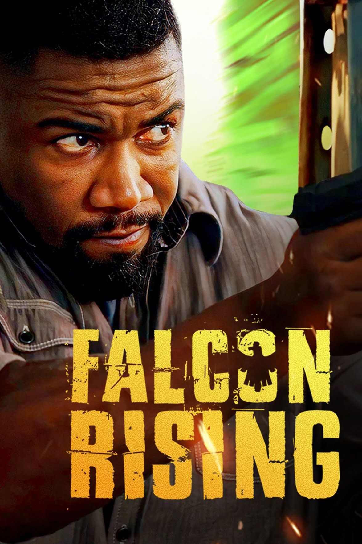 Falcon Rising (2014) Hindi Dubbed ORG BluRay Full Movie 720p 480p Movie