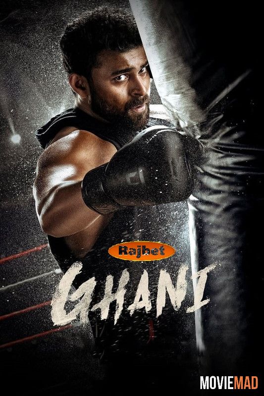 Ghani (2022) Hindi (HQ Dub) Dubbed HDRip Full Movie 1080p 720p 480p Movie