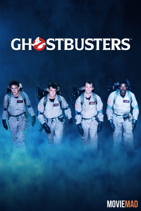 Ghostbusters (1984) Hindi Dubbed BluRay Full Movie 720p 480p Movie