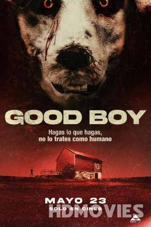 Good Boy (2022) Hindi Dubbed