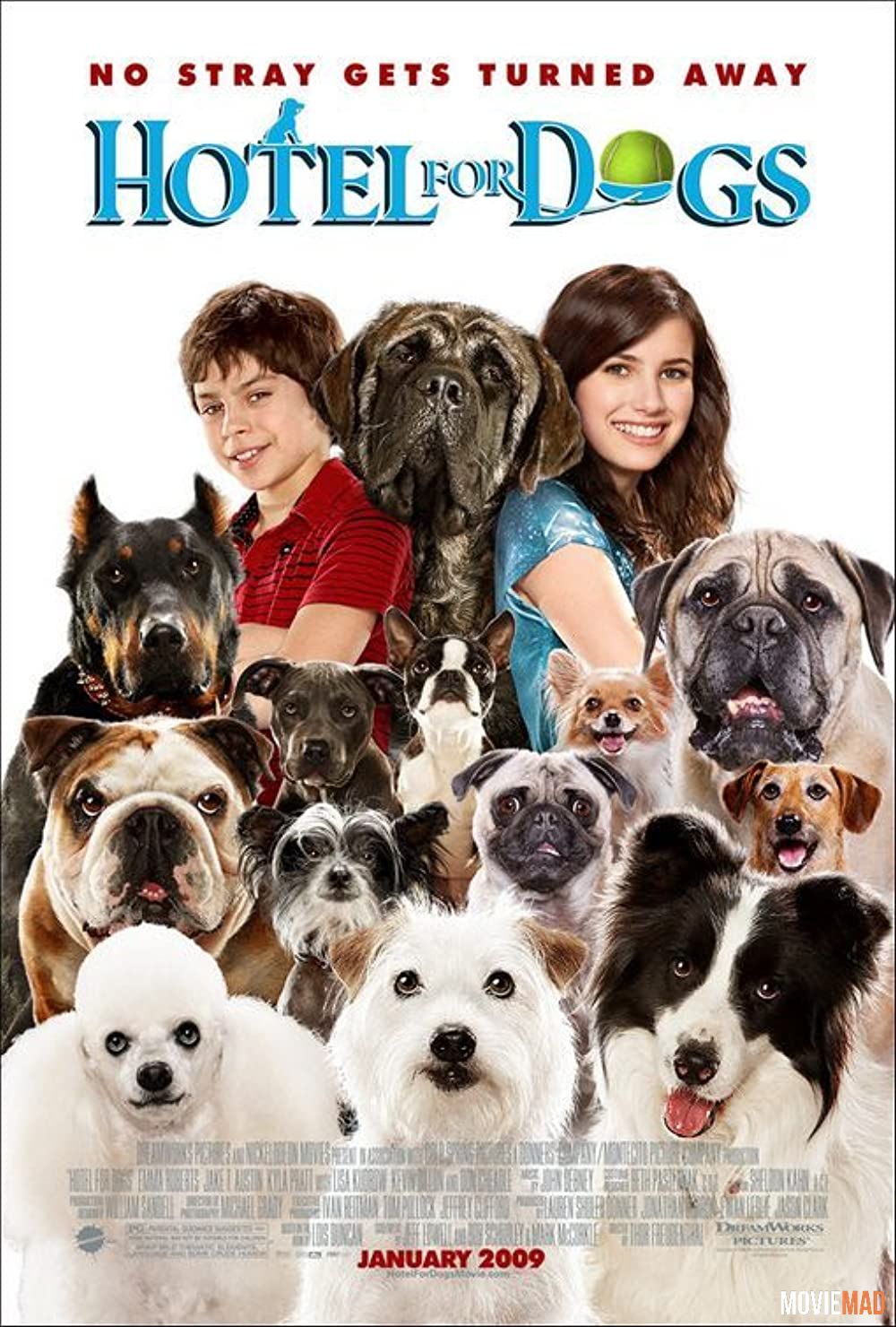 Hotel for Dogs (2009) Hindi Dubbed ORG BluRay Full Movie 720p 480p Movie