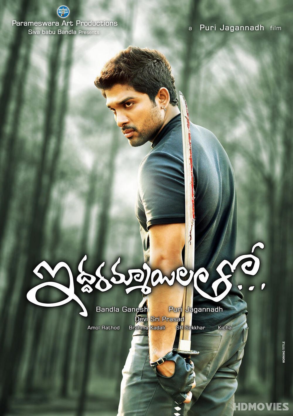 Iddarammayilatho (2013) Hindi Dubbed