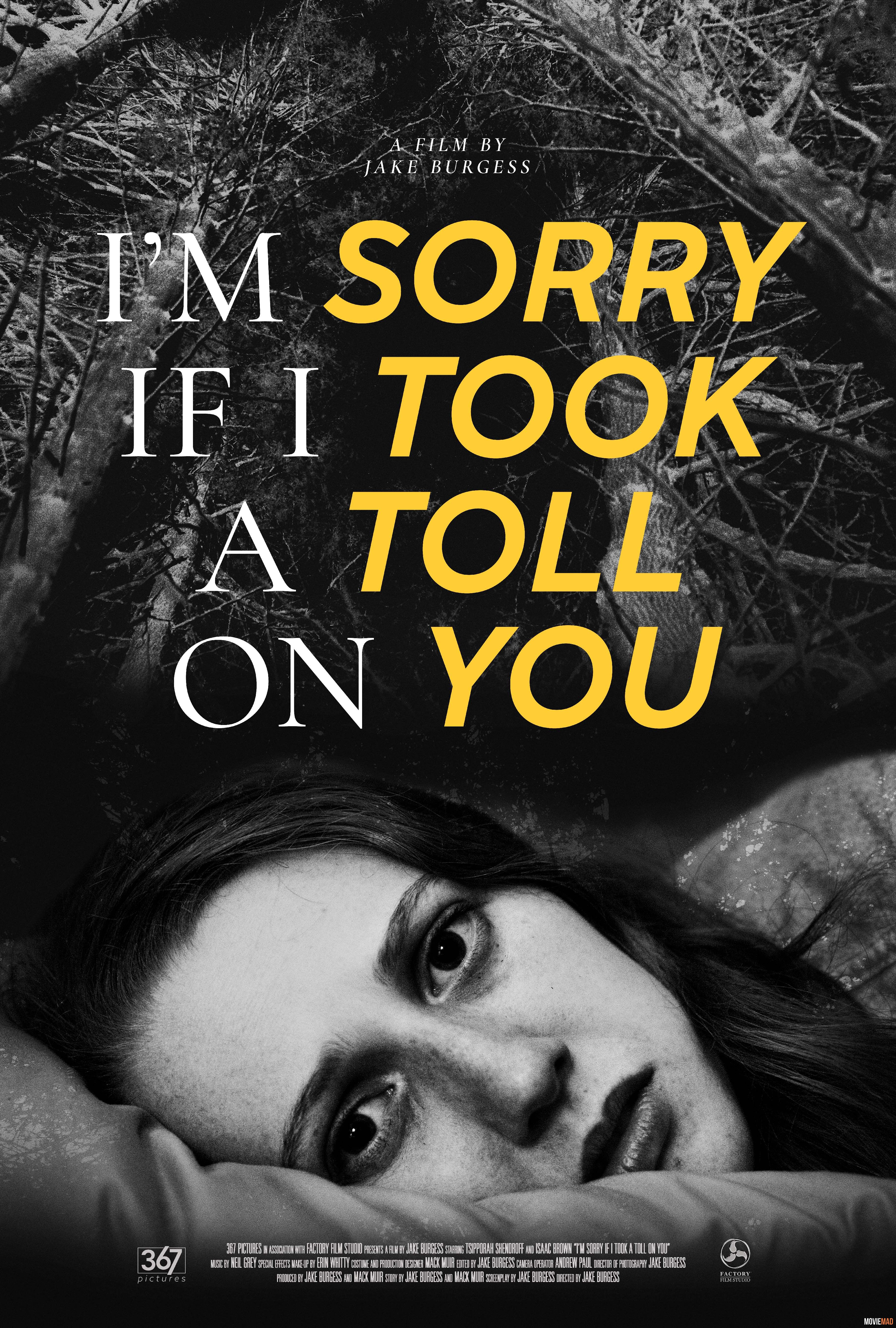 Im Sorry If I Took a Toll on You 2021 Hindi (Voice Over) Dubbed WEBRip Full Movie 720p 480p Movie