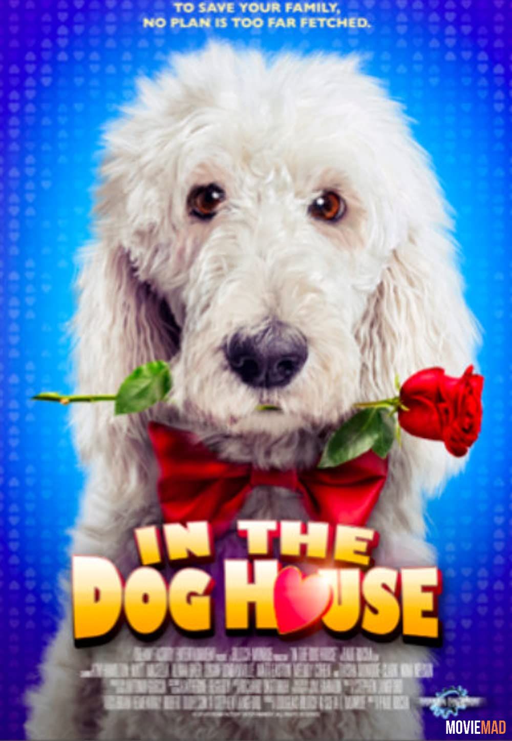 In the Dog House 2014 HDRip Dual Audio Hindi Full Movie 720p 480p Movie