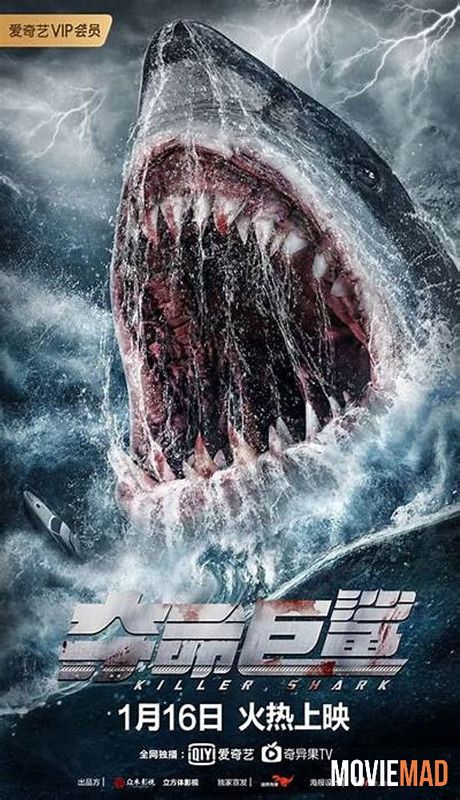 Killer Shark (2021) Hindi Dubbed ORG WEB DL Full Movie 1080p 720p 480p Movie