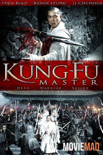 Kung-Fu Master 2010 Hindi Dubbed HDRip Full Movie 720p 480p Movie