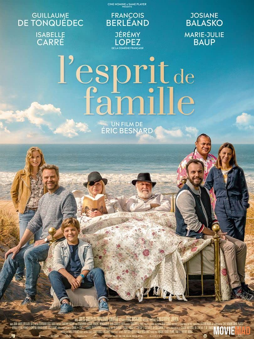 L esprit de famille 2019 Hindi (Voice Over) Dubbed WEBRip Full Movie 720p 480p Movie