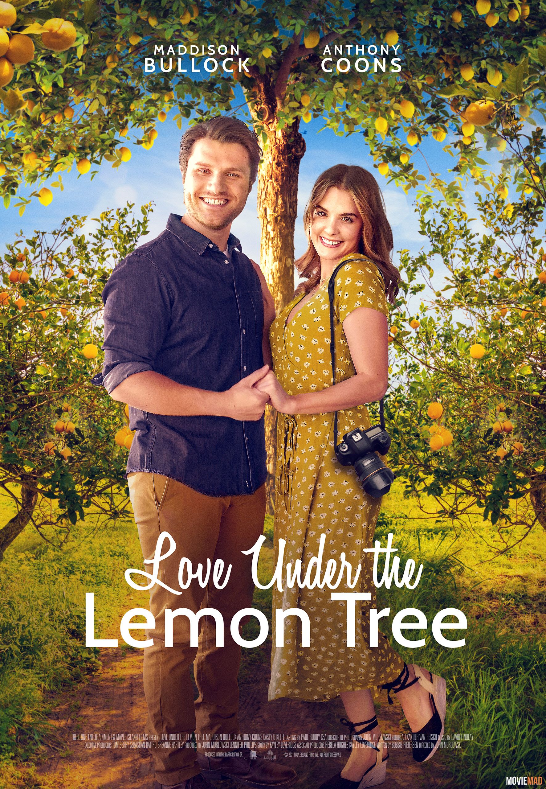 Love Under the Lemon Tree 2022 Hindi (Voice Over) Dubbed WEBRip Full Movie 720p 480p