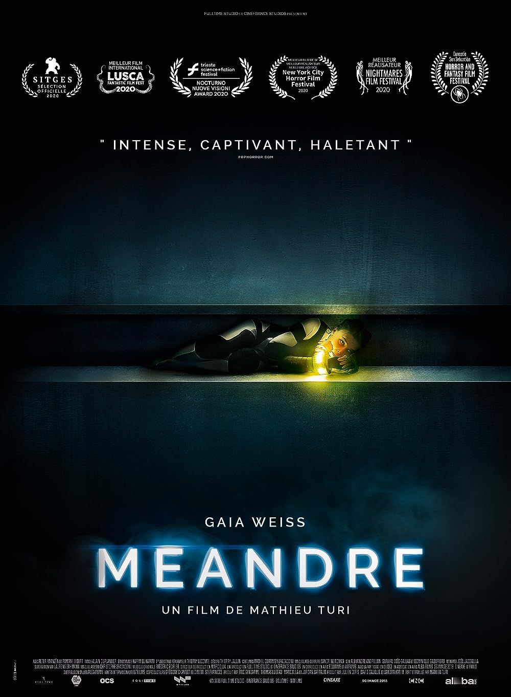 Meander (2020) Hindi Dubbed ORG BluRay Full Movie 720p 480p Movie