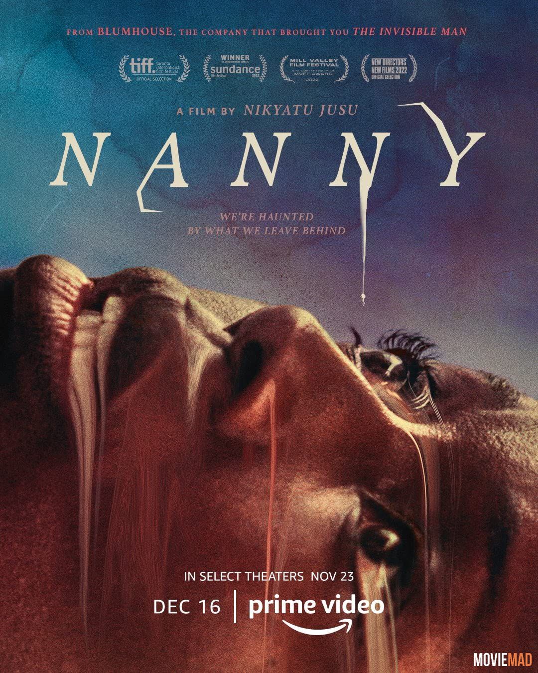 Nanny 2022 Hindi (Voice Over) Dubbed WEBRip Full Movie 720p 480p Movie