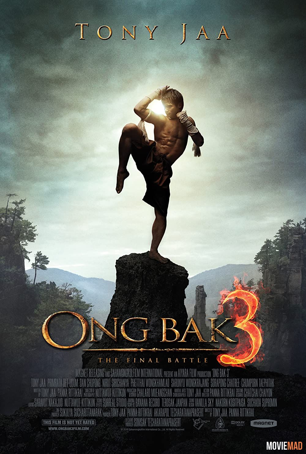 Ong Bak 3 The Finale 2010 Hindi Dubbed BluRay Full Movie 720p 480p Movie