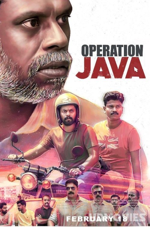 Operation Java (2021) Hindi Dubbed