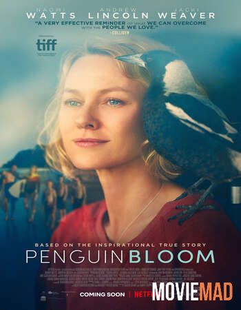 Penguin Bloom (2020) English 480p 720p WEB-DL Movie