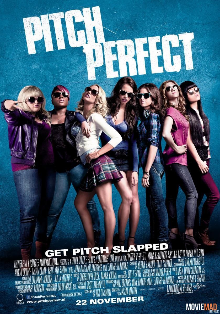 Pitch Perfect 2012 BluRay Dual Audio Hindi 720p 480p x264 Movie