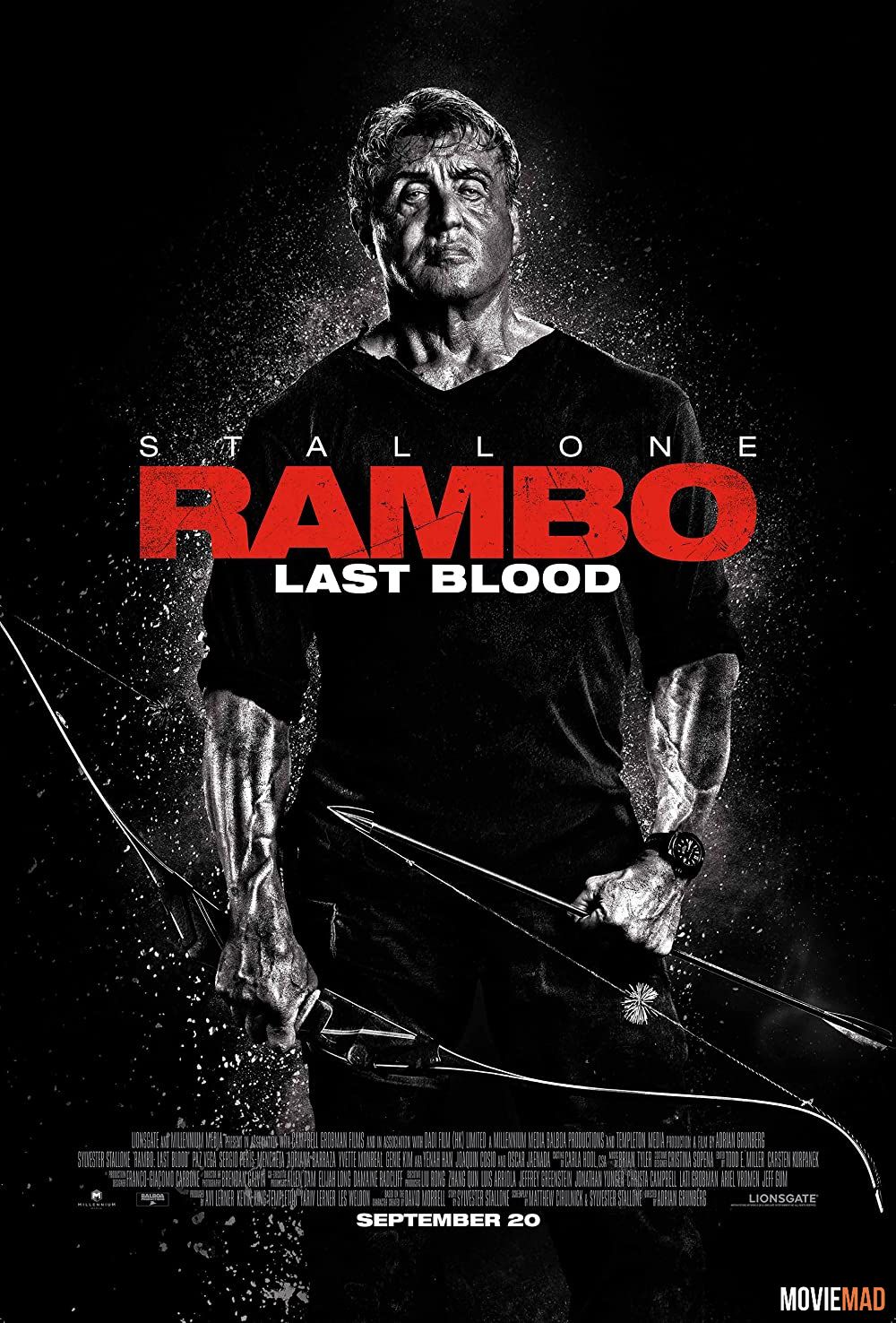 Rambo: Last Blood 2019 Hindi Dubbed BluRay Full Movie 720p 480p Movie