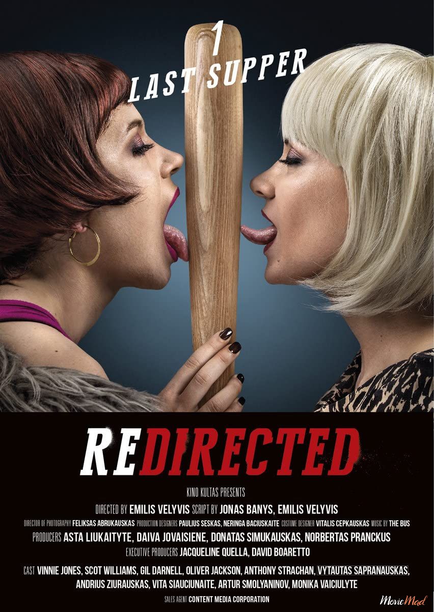 Redirected 2014 UNRATED Dual Audio Hindi 480p BRRip Movie