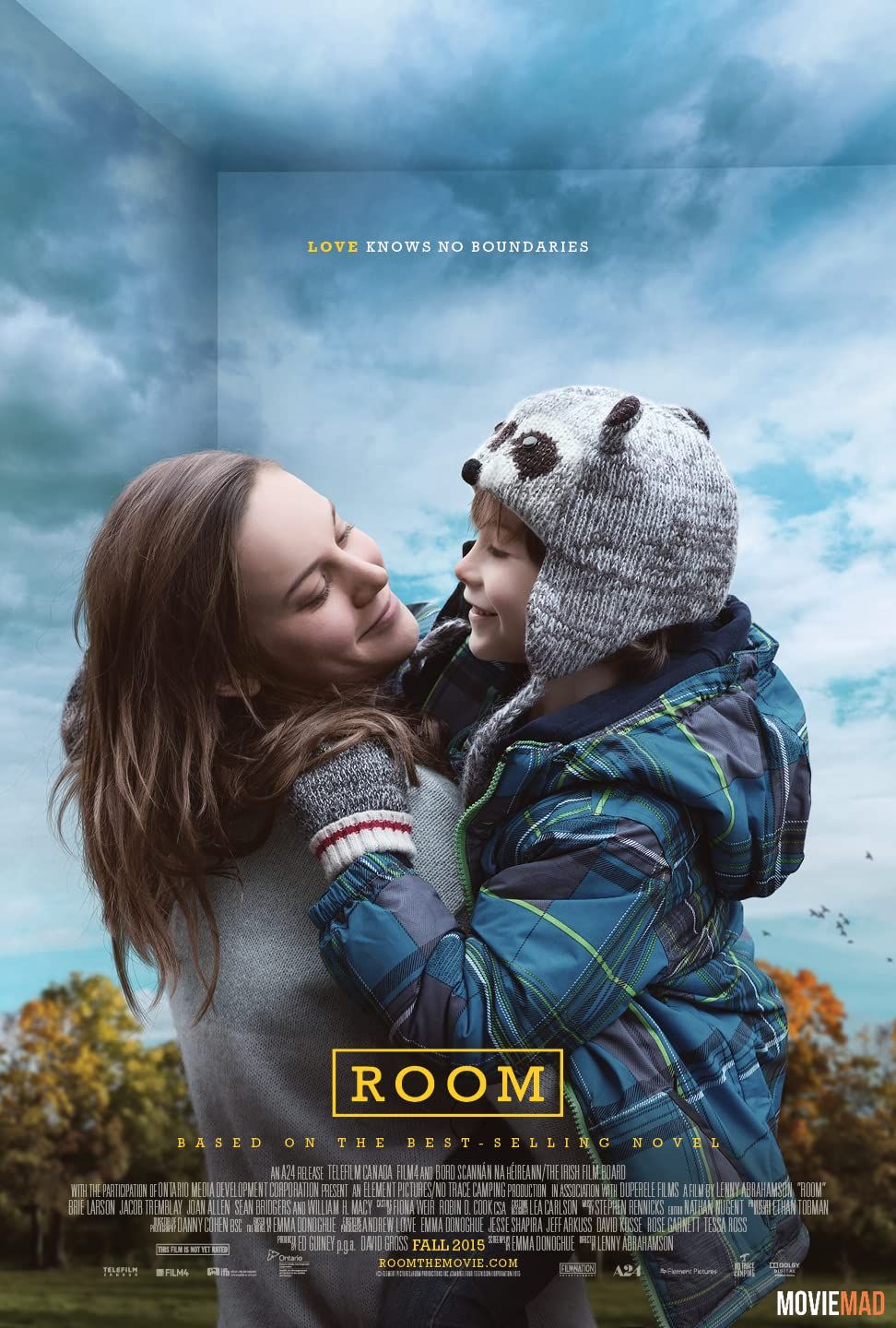 Room (2015) Hindi Dubbed ORG HDRip Full Movie 720p 480p Movie