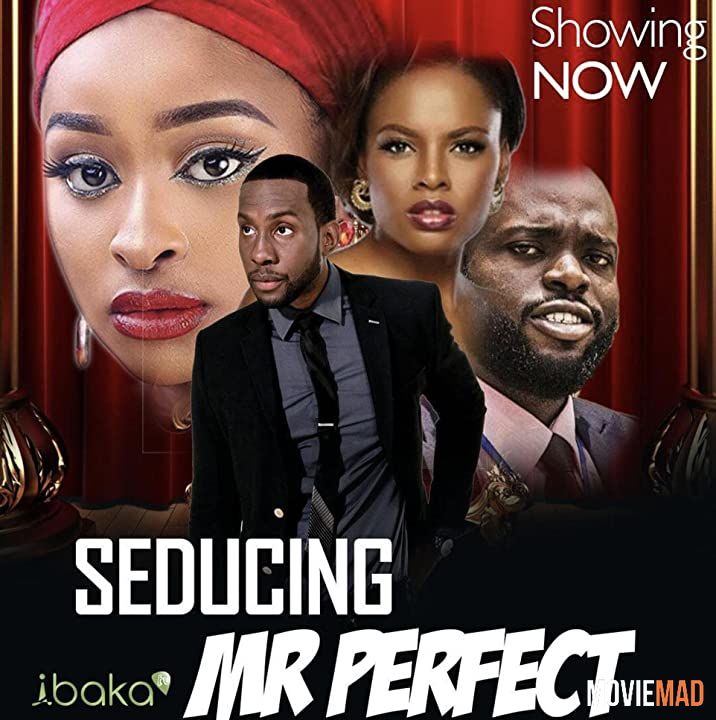 Seducing Mr Perfect 2019 Hindi (Voice Over) Dubbed WEBRip Full Movie 720p 480p Movie