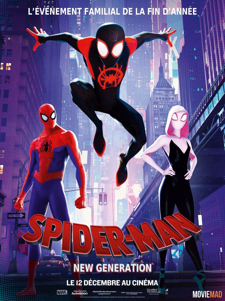 Spider-Man: Into the Spider-Verse 2018 BluRay Hindi Dubbed ORG 720p 480p Movie