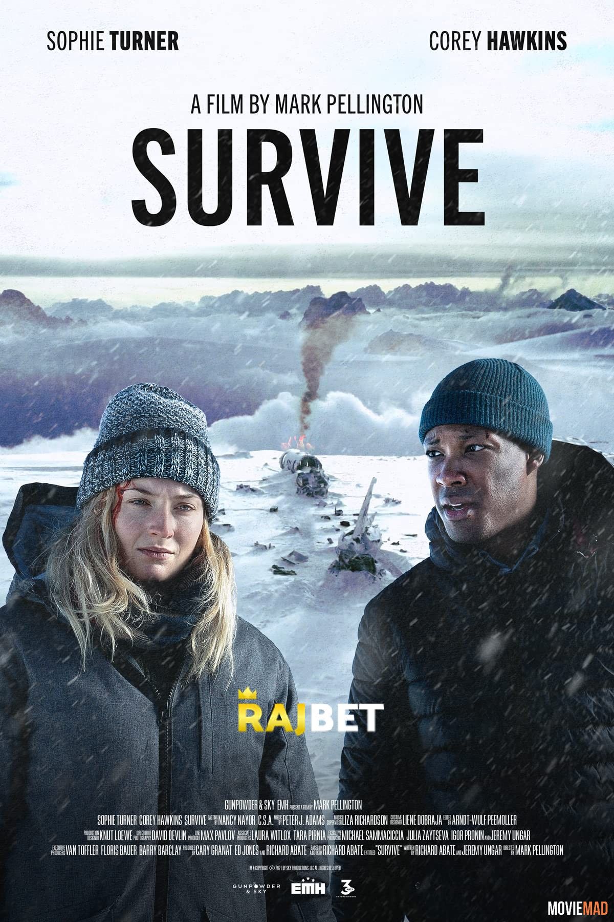 Survive (2022) Hindi (Voice Over) Dubbed WEBRip Full Movie 720p 480p