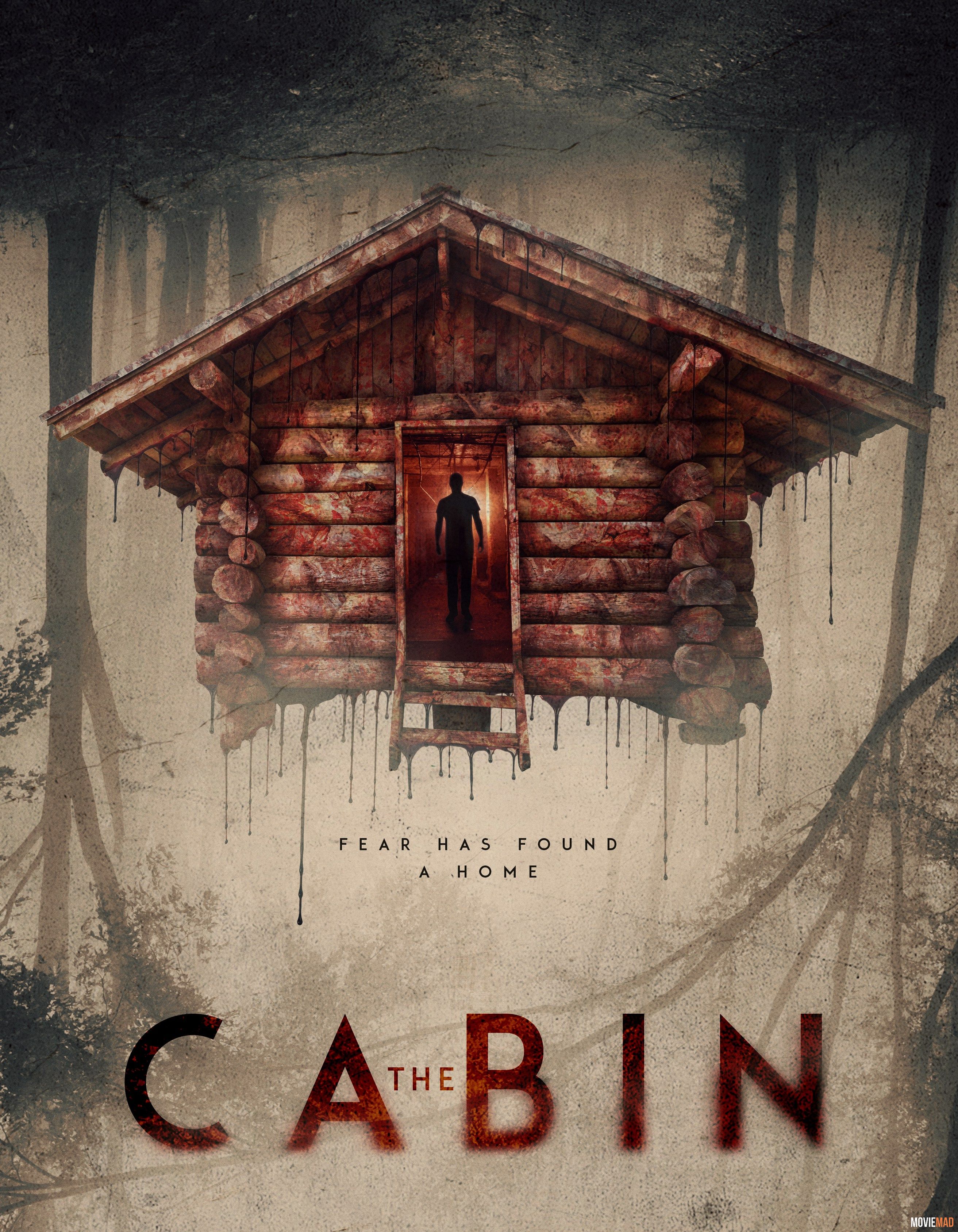 The Cabin 2018 Hindi Dubbed WEB DL Full Movie 720p 480p Movie