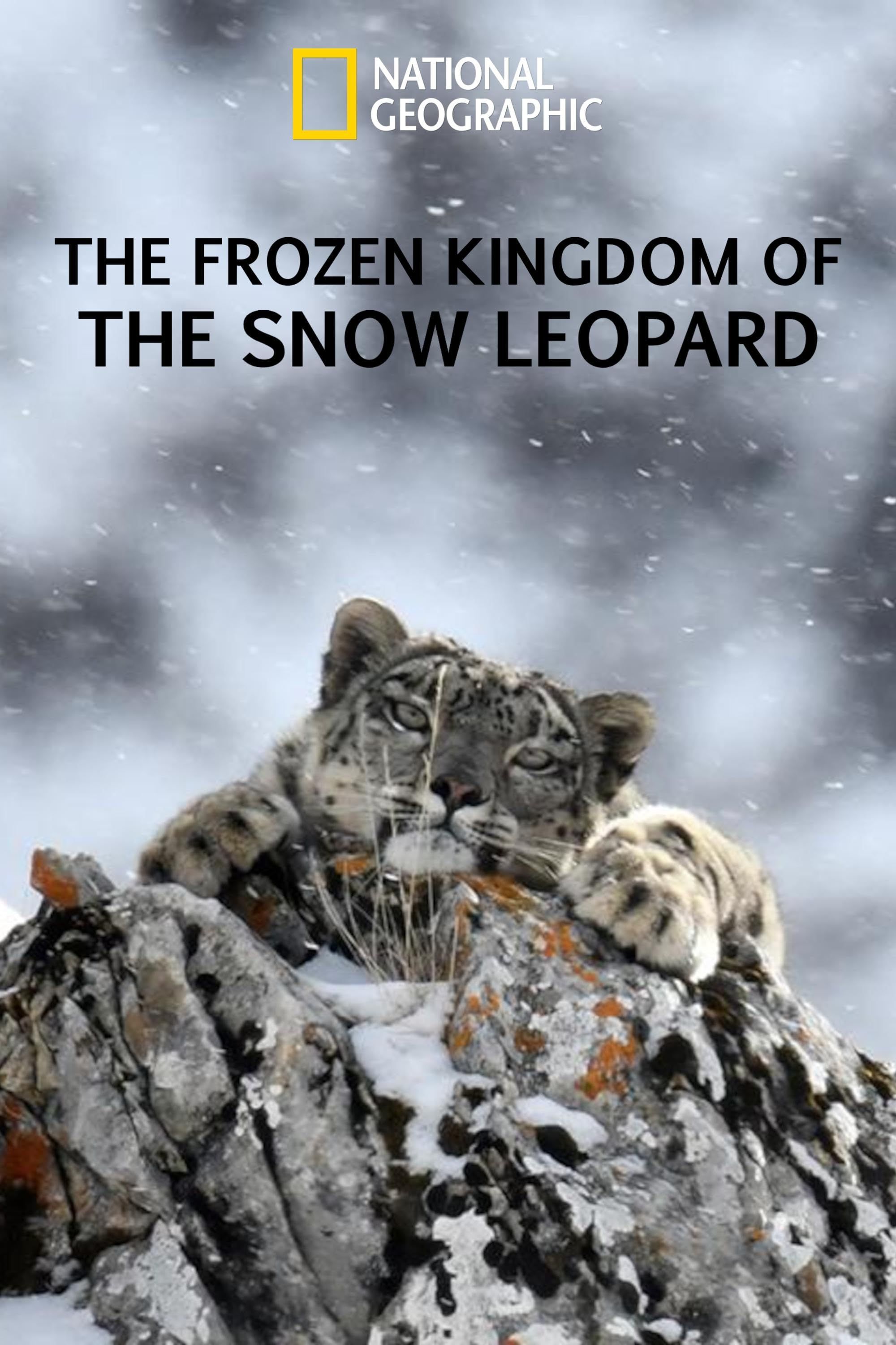 The Frozen Kingdom of the Snow Leopard (2021) Hindi Dubbed ORG HDRip Full Movie 720p 480p Movie