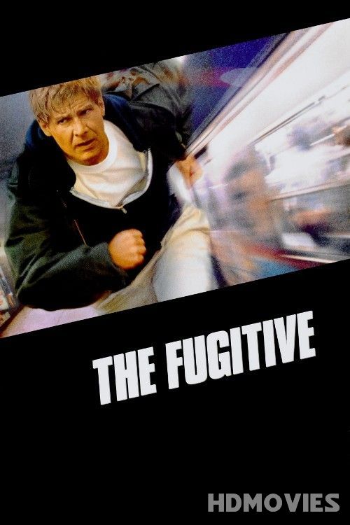 The Fugitive (1993) Hindi Dubbed